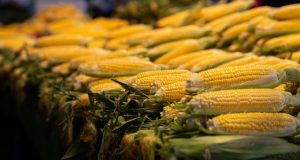 Compras gigantes mexem com preço do milho