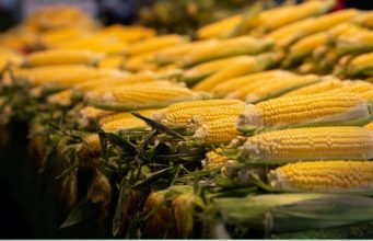 Compras gigantes mexem com preço do milho