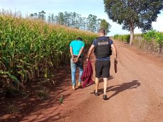 Fuga de envolvidos após assalto no Nortão termina em capotamento na MT-208 e suspeitos são presos. VÍDEO