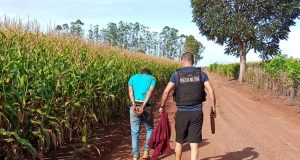 Fuga de envolvidos após assalto no Nortão termina em capotamento na MT-208 e suspeitos são presos. VÍDEO