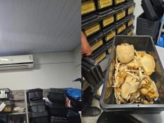 IML tem ossos expostos, mofo e vazamentos, aponta fiscalização