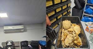 Fiscalização do CRM aponta IML com sala de ossadas expostas, sem ar, infiltração e risco sanitário