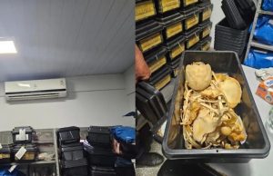 Fiscalização do CRM aponta IML com sala de ossadas expostas, sem ar, infiltração e risco sanitário