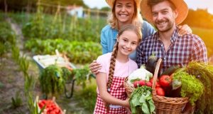 O que o mundo pode copiar da nossa agricultura familiar?