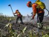 Inscrições para seletivo de brigadistas começam hoje (16/06) e tem vagas para Colíder