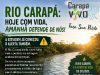 🌱 Meio Ambiente: uma causa de todos, um compromisso da Carapá Vivo