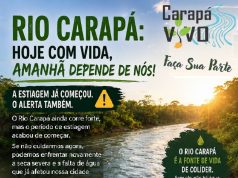 🌱 Meio Ambiente: uma causa de todos, um compromisso da Carapá Vivo