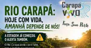 🌱 Meio Ambiente: uma causa de todos, um compromisso da Carapá Vivo