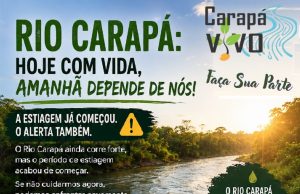 🌱 Meio Ambiente: uma causa de todos, um compromisso da Carapá Vivo