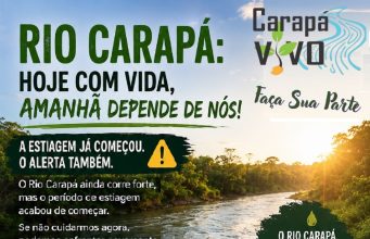 🌱 Meio Ambiente: uma causa de todos, um compromisso da Carapá Vivo