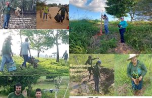 Projeto da Associação Carapá Vivo conquista 1º lugar em edital da AXIA Energia e levará investimentos para ações ambientais em Colíder