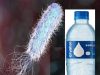 Água mineral sem gás contaminada com bactéria está sendo recolhida voluntariamente