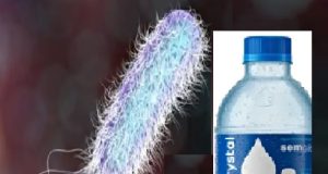 Água mineral sem gás contaminada com bactéria está sendo recolhida voluntariamente