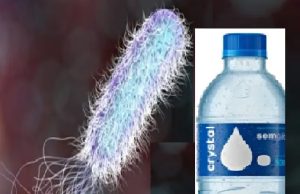Água mineral sem gás contaminada com bactéria está sendo recolhida voluntariamente