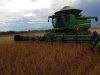 Brasil deve colher 358,6 milhões de toneladas de grãos; soja e milho impulsionam alta na produção