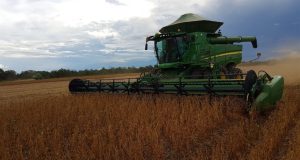 Brasil deve colher 358,6 milhões de toneladas de grãos; soja e milho impulsionam alta na produção