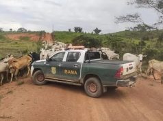 Justiça Federal em MT Anula Multa Milionária do IBAMA Após Perícia Apontar Erro grave; produtores indignados