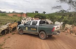 Justiça Federal em MT Anula Multa Milionária do IBAMA Após Perícia Apontar Erro grave; produtores indignados