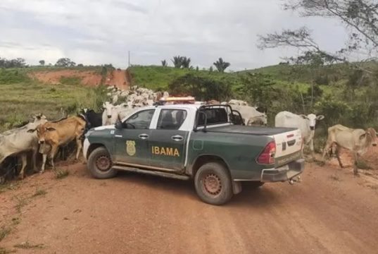 Justiça Federal em MT Anula Multa Milionária do IBAMA Após Perícia Apontar Erro grave; produtores indignados