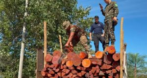 ESQUEMA INÉDITO: carga milionária de cocaina escondida em madeira é apreendida por operação policial neste domingo(21)
