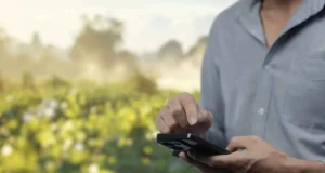 Endividamento rural cresce e acende alerta no agro de MT