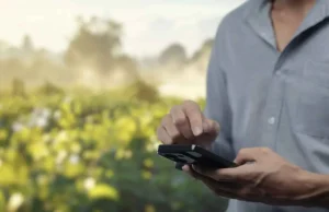 Endividamento rural cresce e acende alerta no agro de MT