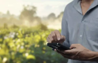 Endividamento rural cresce e acende alerta no agro de MT
