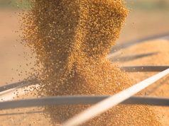 Mercados agrícolas abrem semana em alta
