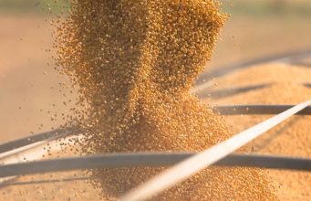 Mercados agrícolas abrem semana em alta