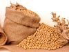 Mercados agrícolas abrem semana com sinais distintos