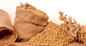 Mercados agrícolas abrem semana com sinais distintos