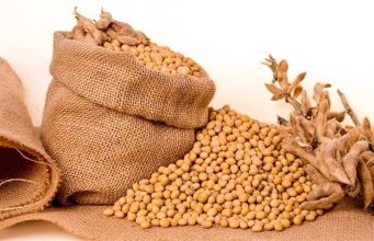 Mercados agrícolas abrem semana com sinais distintos