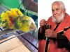 Papagaio de Frei Damião está vivo até hoje: tem quase 90 anos e emociona fiéis; vídeo