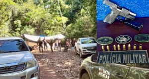 CRIME AMBIENTAL: acampamento é interceptado e arma de fogo e munições são apreendidos neste fim de semana no Nortão