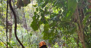 Mulher ferida durante trilha em área de difícil acesso é resgatada pelo Corpo de Bombeiros