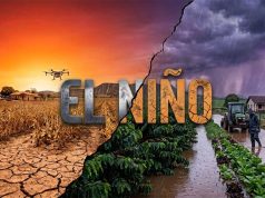 El Niño pode ser o mais forte da história; veja o que isso significa para o planeta