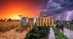 El Niño pode ser o mais forte da história; veja o que isso significa para o planeta