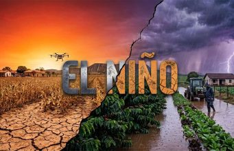 El Niño pode ser o mais forte da história; veja o que isso significa para o planeta