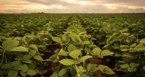 Famato impulsiona centro de mediação de conflitos no agro de MT