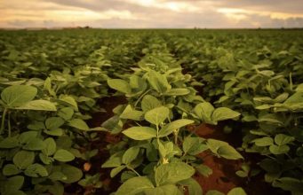 Famato impulsiona centro de mediação de conflitos no agro de MT