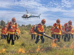 PROIBIDO QUEIMADA: confira as regras no período de proibição do uso do fogo em MT