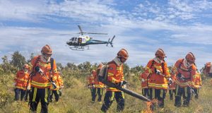 PROIBIDO QUEIMADA: confira as regras no período de proibição do uso do fogo em MT