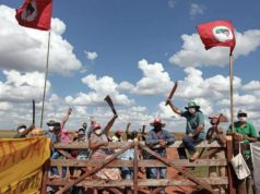 Brasil registra 41 invasões de terras rurais em 2026