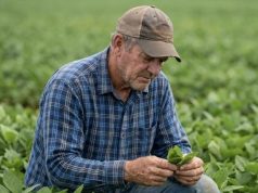 Obrigatoriedade de CNPJ para produtor rural é adiada para 2027