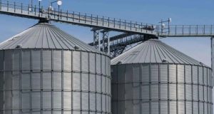 Busca por silos de alta performance em MT é acelerada por déficit e clima