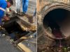 Fiscalização ambiental autua mecânica por descarte de óleo, graxa e produtos químicos em galeria de águas pluviais em Colíder