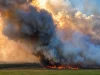 EL NINO: MT cria sala para enfrentar impactos e coloca 40 cidades no radar; saiba quais