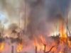NORTÃO MT: Bombeiros prendem quatro suspeitos flagrados provocando incêndio florestal em Nova Santa Helena