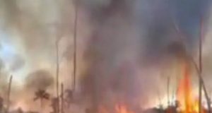 NORTÃO MT: Bombeiros prendem quatro suspeitos flagrados provocando incêndio florestal em Nova Santa Helena