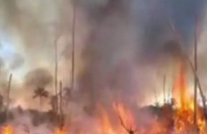 NORTÃO MT: Bombeiros prendem quatro suspeitos flagrados provocando incêndio florestal em Nova Santa Helena